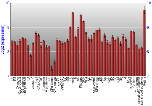 Expression graph