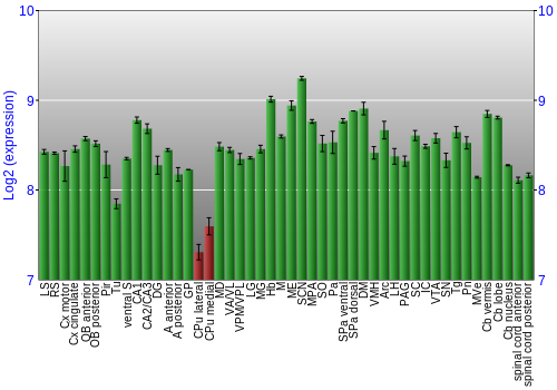 Multi-state expression graph