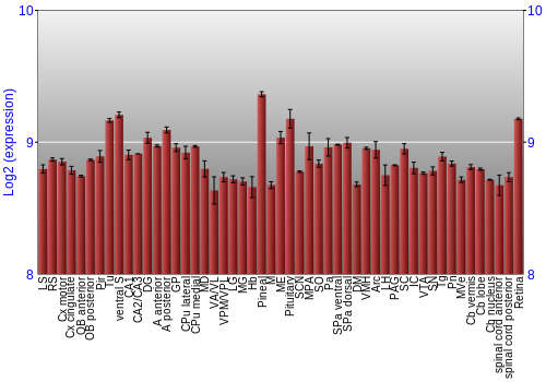 Expression graph