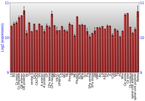 Expression graph