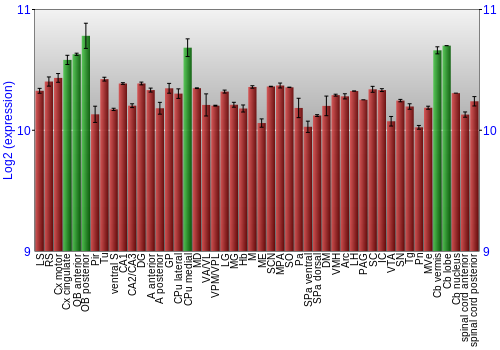 Multi-state expression graph