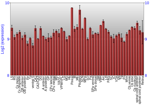Expression graph
