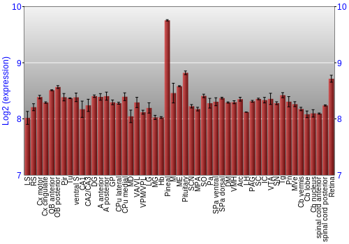 Expression graph