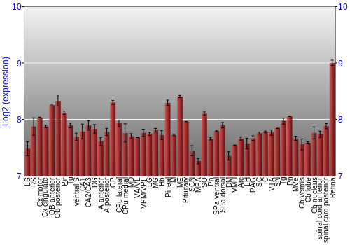 Expression graph