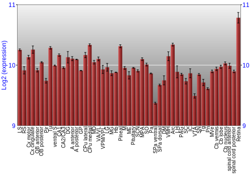 Expression graph