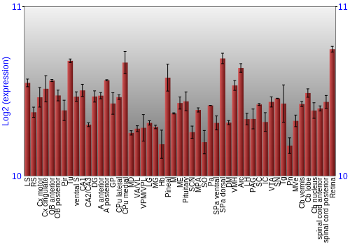 Expression graph