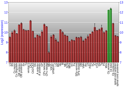 Multi-state expression graph