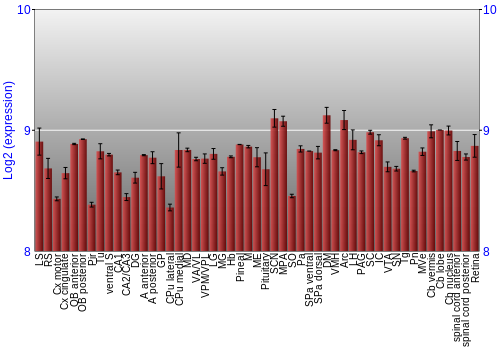 Expression graph
