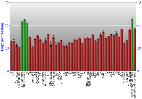 Multi-state expression graph