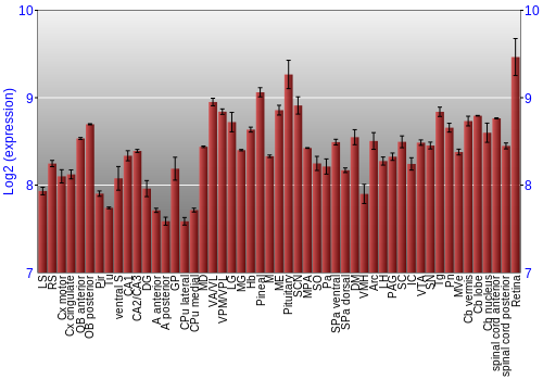 Expression graph