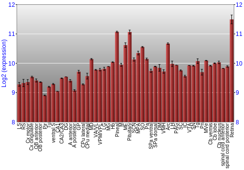 Expression graph