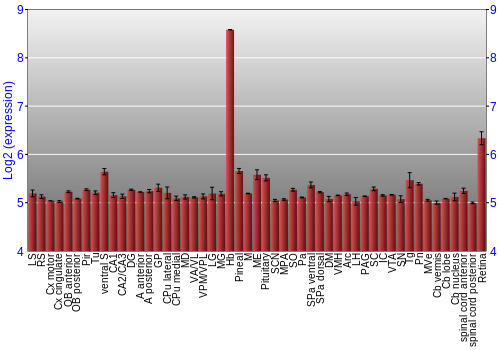 Expression graph