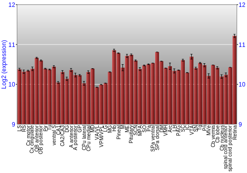 Expression graph
