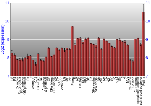 Expression graph
