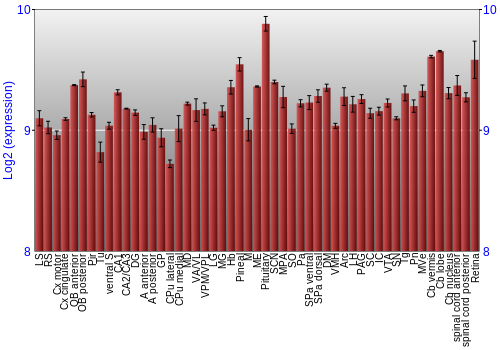 Expression graph