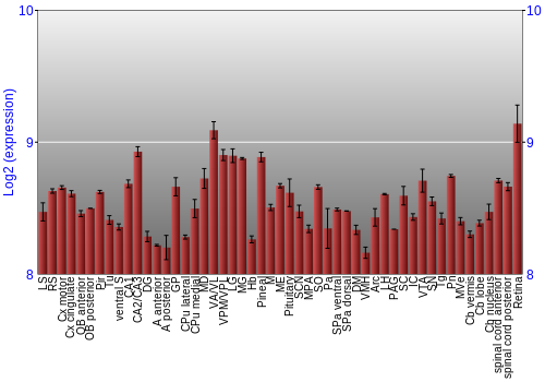 Expression graph