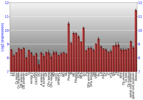 Expression graph
