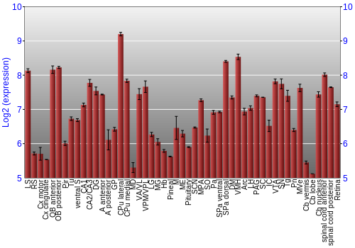 Expression graph