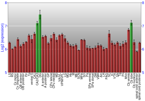 Multi-state expression graph