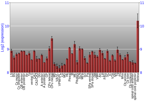 Expression graph