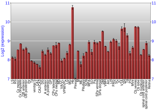 Expression graph