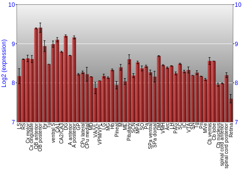 Expression graph
