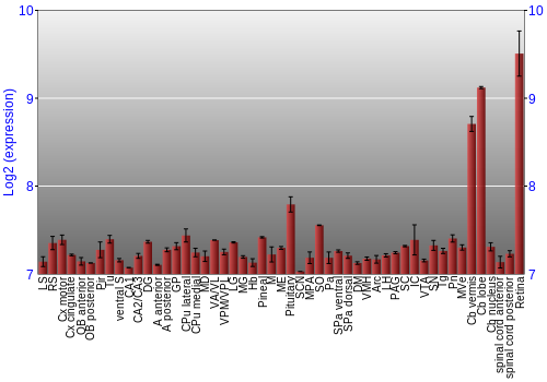 Expression graph