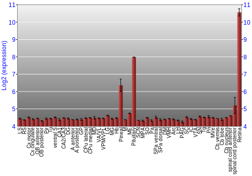 Expression graph
