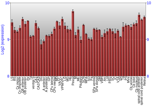 Expression graph