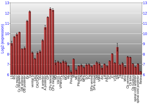 Expression graph