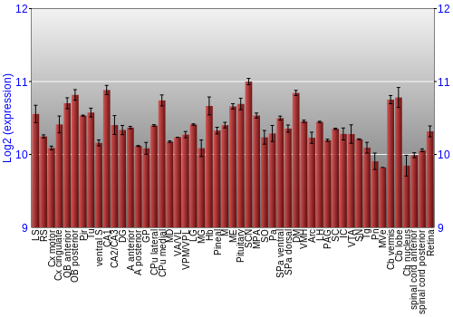 Expression graph