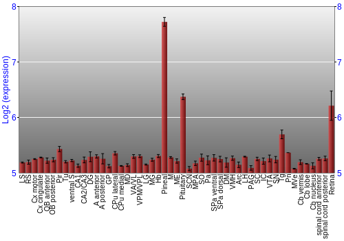 Expression graph