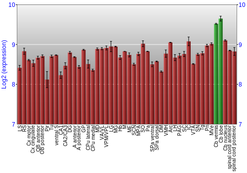 Multi-state expression graph