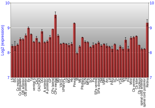 Expression graph