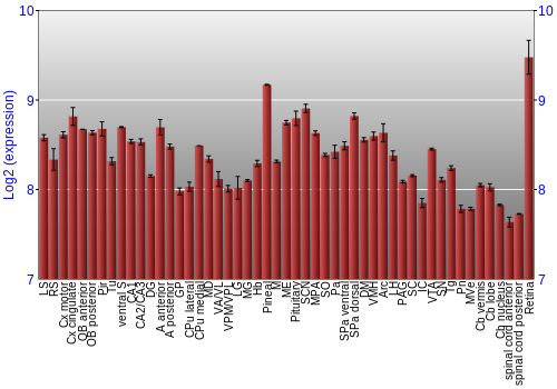 Expression graph