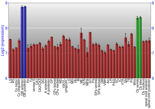 Multi-state expression graph