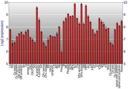 Expression graph