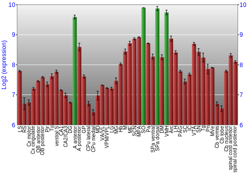 Multi-state expression graph