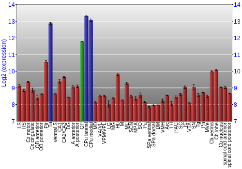 Multi-state expression graph
