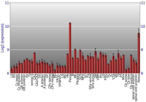 Expression graph