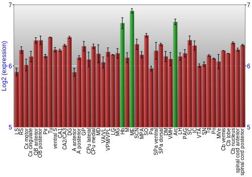 Multi-state expression graph
