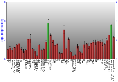 Multi-state expression graph
