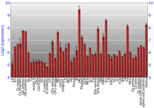 Expression graph