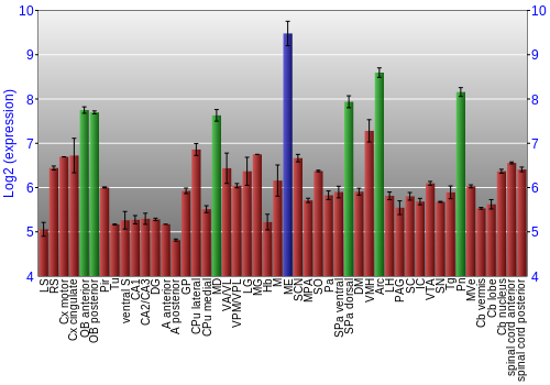 Multi-state expression graph