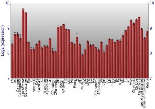 Expression graph