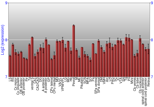 Expression graph