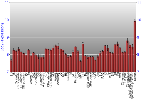 Expression graph