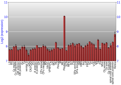 Expression graph