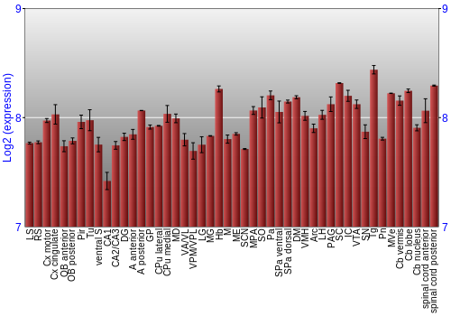 Multi-state expression graph