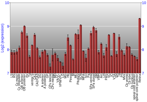 Expression graph